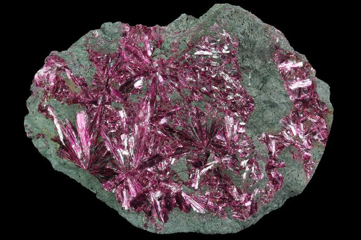 Radiating, Magenta Erythrite Crystals - Bou Azzer, Morocco #93590